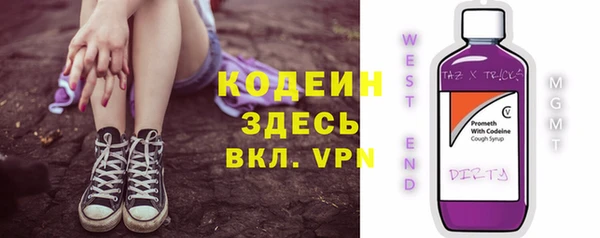 ешки Няндома