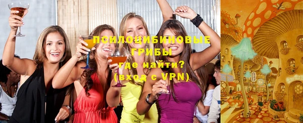 PSILOCYBIN Нязепетровск