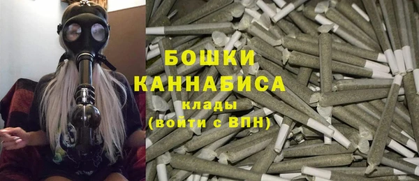 PSILOCYBIN Нязепетровск