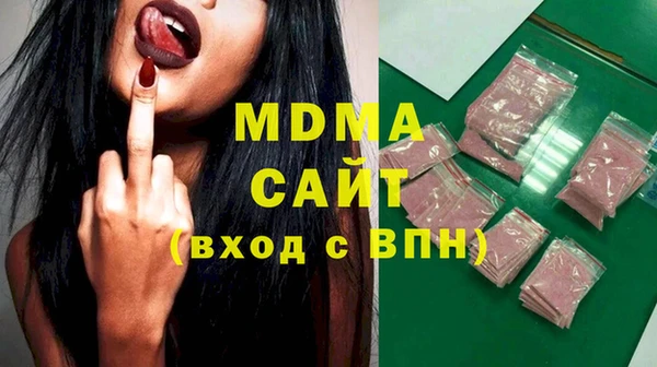 индика Новодвинск