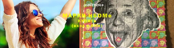 ешки Няндома