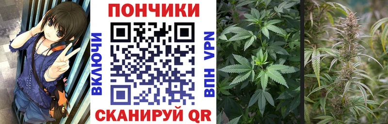 Бошки марихуана THC 21%  Кремёнки 